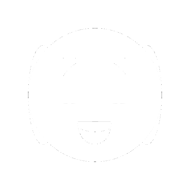 direct electric logo